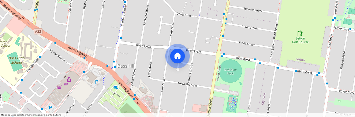 3 Avonlea Crescent, Bass Hill NSW 2197