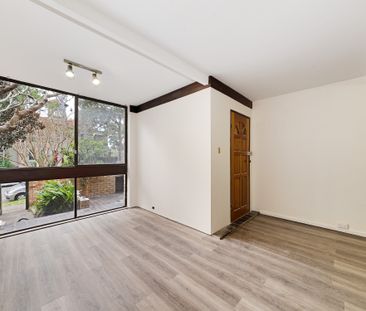 63 Llandaff Street, Bondi Junction NSW 2022 - House For Rent | Domain - Photo 4