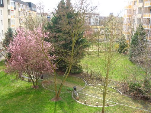 Einzug ab 01.02.2025 möglich. Ruhe genießen auf Ihrem neuen Südbalkon! - Photo 1