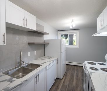 AMAZING newly reno'd Apartment in Lacombe! CATS OK! - Photo 4