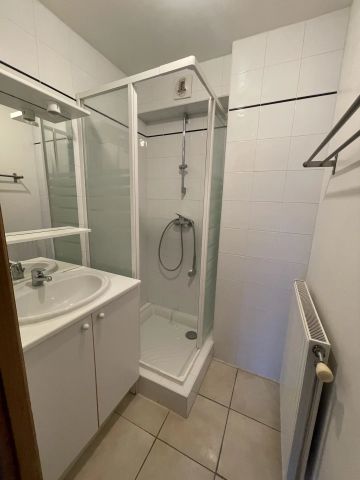 Location Appartement 2 pièces 40m² SALLANCHES 74700 - Photo 3