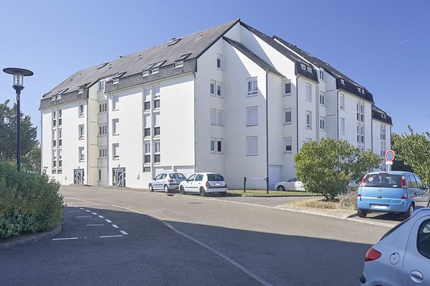 Appartement SABLE SUR SARTHE T2 - Photo 1