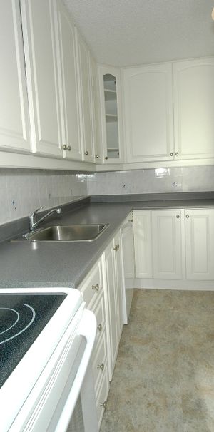 2 bedroom unit close to Cite Collegiale and Ogilvie/Bathgate - Photo 1