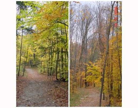 For Lease - 38 Hurst Drive, Barrie, Ontario - Photo 4