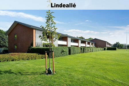 Linde Haven m.fl. 164-0 - Foto 2