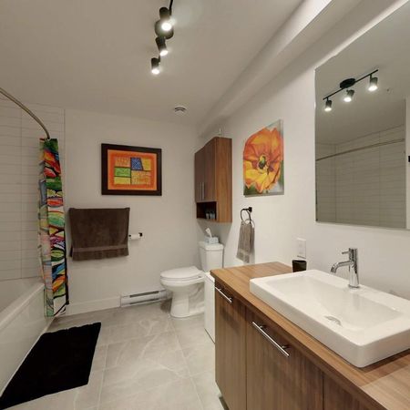 TOUT INCLUS TRES GRAND 3.5 - Photo 3