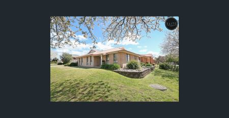 NEAT & TIDY HOME IN QUIET COURT LOCATION - Photo 3