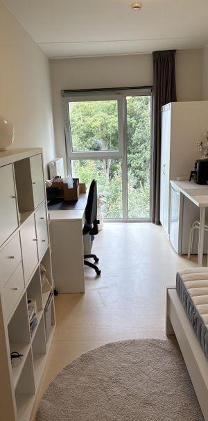 Overwale XIOR - Overwale 42 - Foto 1