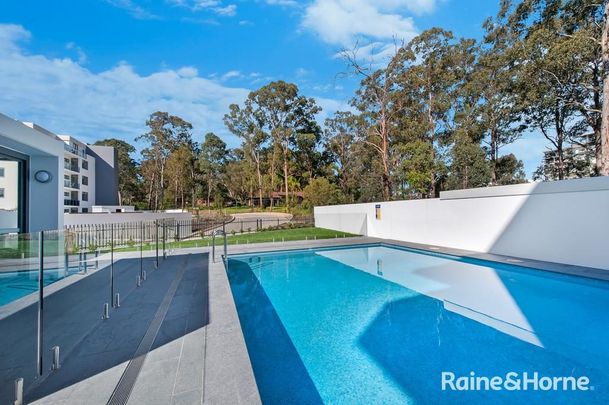 117/1 Lucinda Avenue, Norwest, NSW 2153 - Photo 1