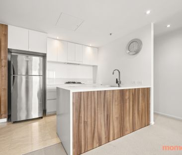 1001/240 Bunda Street, City ACT 2601 - Apartment For Rent | Domain - Photo 4