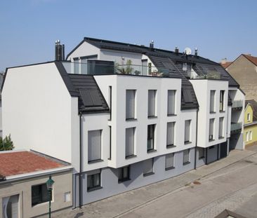 GARTENWOHNUNG, KÜHLUNG, EWE-KÜCHE, WALK-IN-DUSCHE, SCHÖNE TERRASSE,... - Photo 3