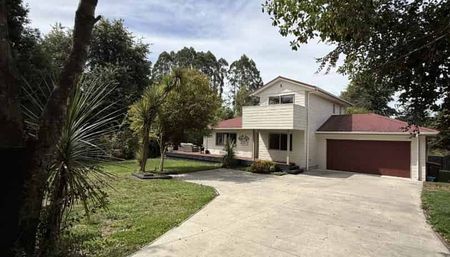 Pukehangi Paradise - Photo 5