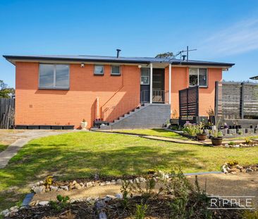 A Peaceful, Stylish Home with Exceptional Gardens - Photo 3