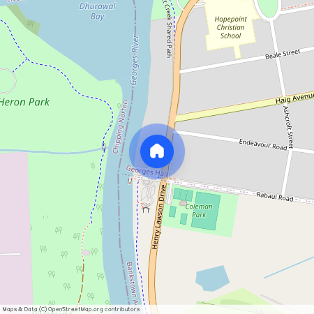 248 Henry Lawson Drive, NSW 2198, Georges Hall
