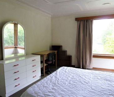 3 BEDROOM HOUSE near CAMPUS FOR 2025 - Photo 5