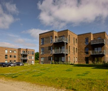 Kobbelvænget 51, st.. th., 7100 Vejle - Foto 1