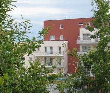 Appartement T3 à louer Rennes Beauregard - 58 m² - Photo 6