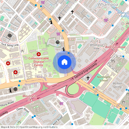 205 Balestier Road (329682), Singapore