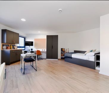 Studio - Gold - Photo 1