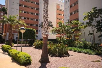 Apartment in Guardamar del Segura, PUERTO, for rent