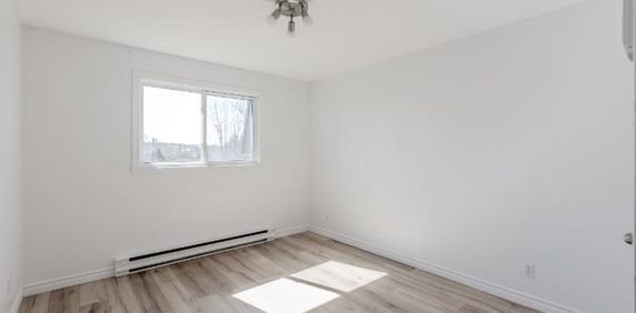 Appartement 3 ½ à louer Lévis décembre 2025 - Photo 2