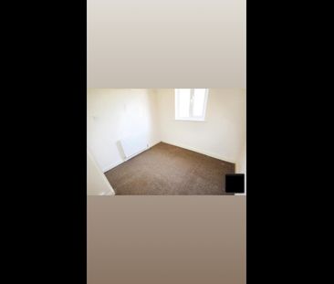 3 Bed Semi-Detached House, Chatsworth Park Grove, S12 - Photo 3