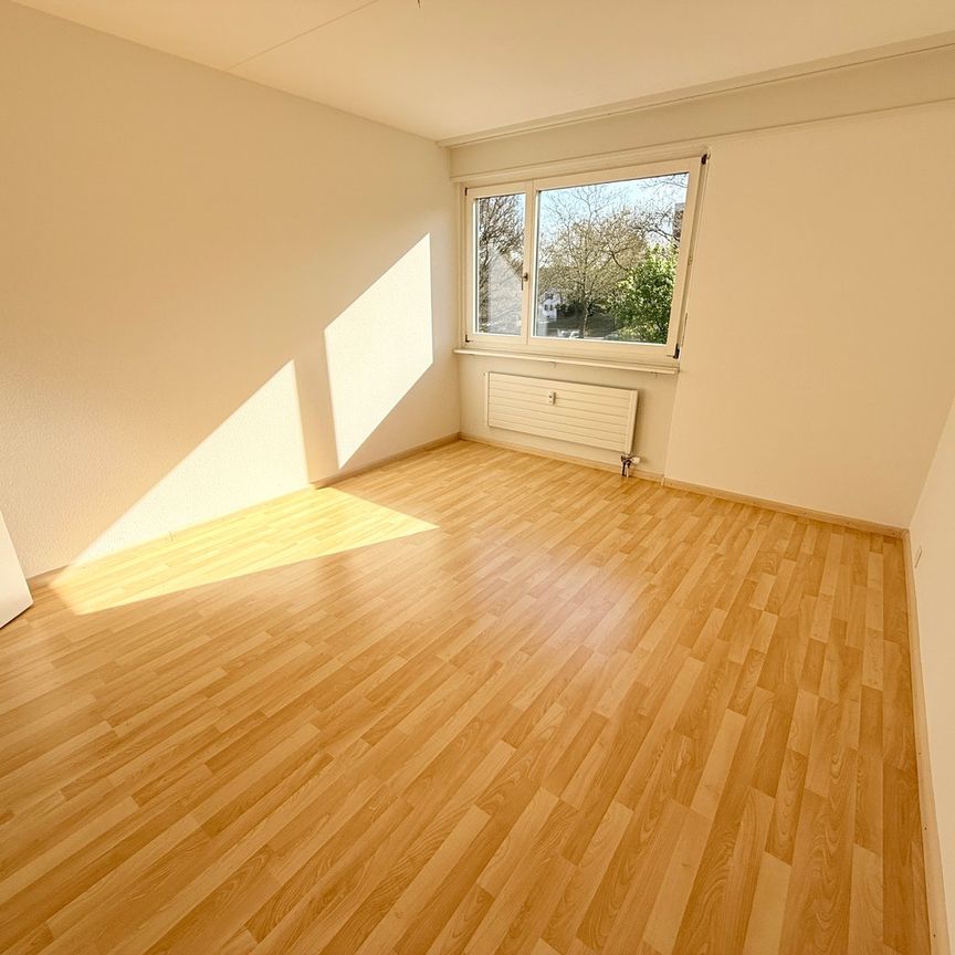 3 Zimmer, 81 m², 1. Stock - Foto 1