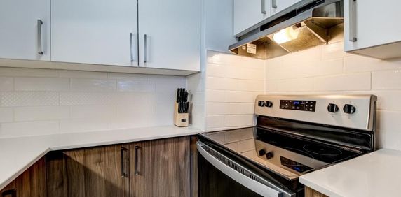 Appartement 3½ à louer – 1 250$/mois 3½ ---- Apartment for Rent – $1,250/month - Photo 2