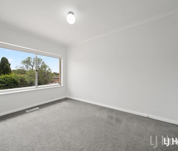 3 Hazelwood Street, Queanbeyan NSW 2620 - House For Rent | Domain - Photo 4