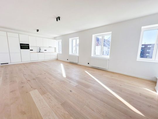 Lichtrijk, energiezuinig en ruim duplex appartement - Foto 1