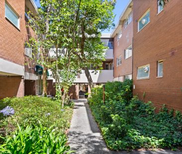 Apartment Oasis! - Photo 1