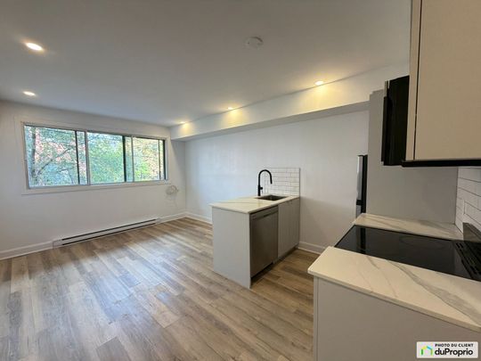2655, Rue Hogan, Ville-Marie (Centre-Ville et Vieux-Montréal) à louer - Photo 1