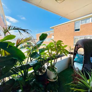 Maroubra - Photo 3