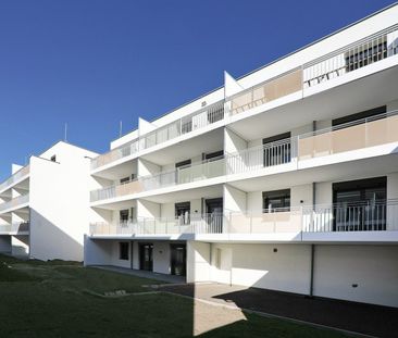 Ab Oktober: 3 Zimmer Wohnung I mit Balkon - Foto 6