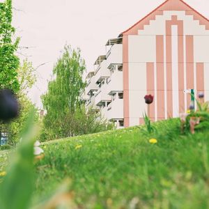 ...nur wenige Stufen ins Glück... - Photo 2