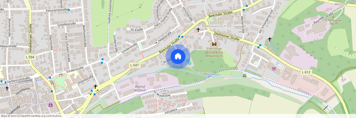 Im Kleegarten 3, 69168, Wiesloch