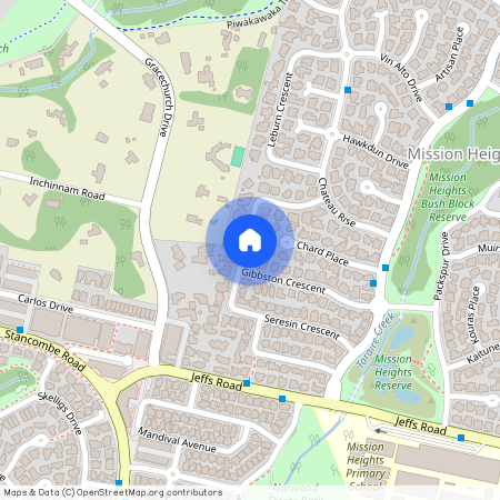 23 Gibbston Crescent, Flat Bush