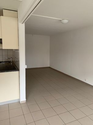 Appartement 2,5 pièces dans le quartier du Jura - Photo 1