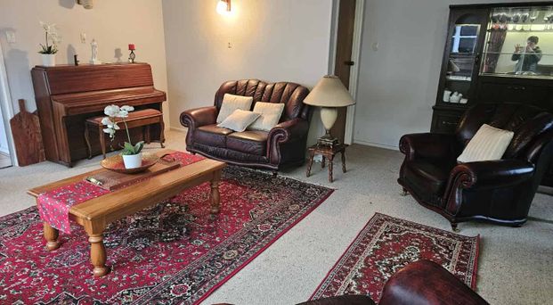 Tidy 3 bedroom in Tamatea - Photo 1