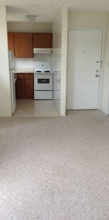 Bachelor Apartment for Rent Near Downtown Victoria - Photo 1