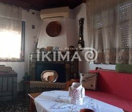 Μονοκατοικία για ενοικίαση - Καλλικράτεια - Photo 1