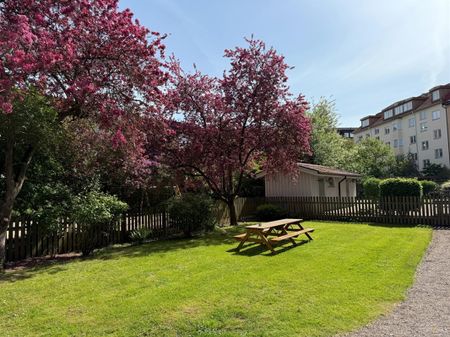 Lilla Möllevångsgatan 12 - Foto 4