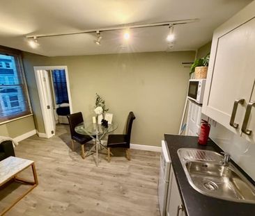 Studio Flat, Lena Gardens, W6 - Photo 3