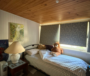 Charming Family Home in Peaceful Leafy Setting - Walk to Town - Photo 4 | Rentumo