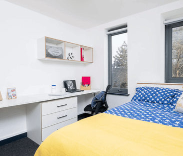 Silver Studio - Photo 5