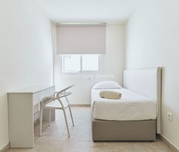 Beautiful New and modern 2 bedroom apartments for rent in Palm mar - Photo 5