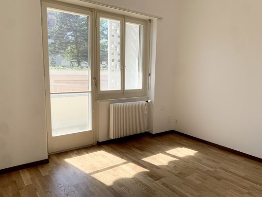 Appartement rénové de 2.5 pièces au rez-de-chaussée - Photo 1