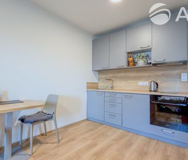 Pronájem bytu 1+kk a garsoniéry 34 m² - Photo 3