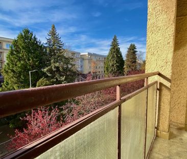 2 – izbový byt s loggiou Žilina – Bulvár - Photo 1