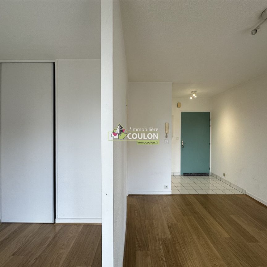 Appartement - 2 pièces - Jardin Lecoq/Facultés - Photo 1